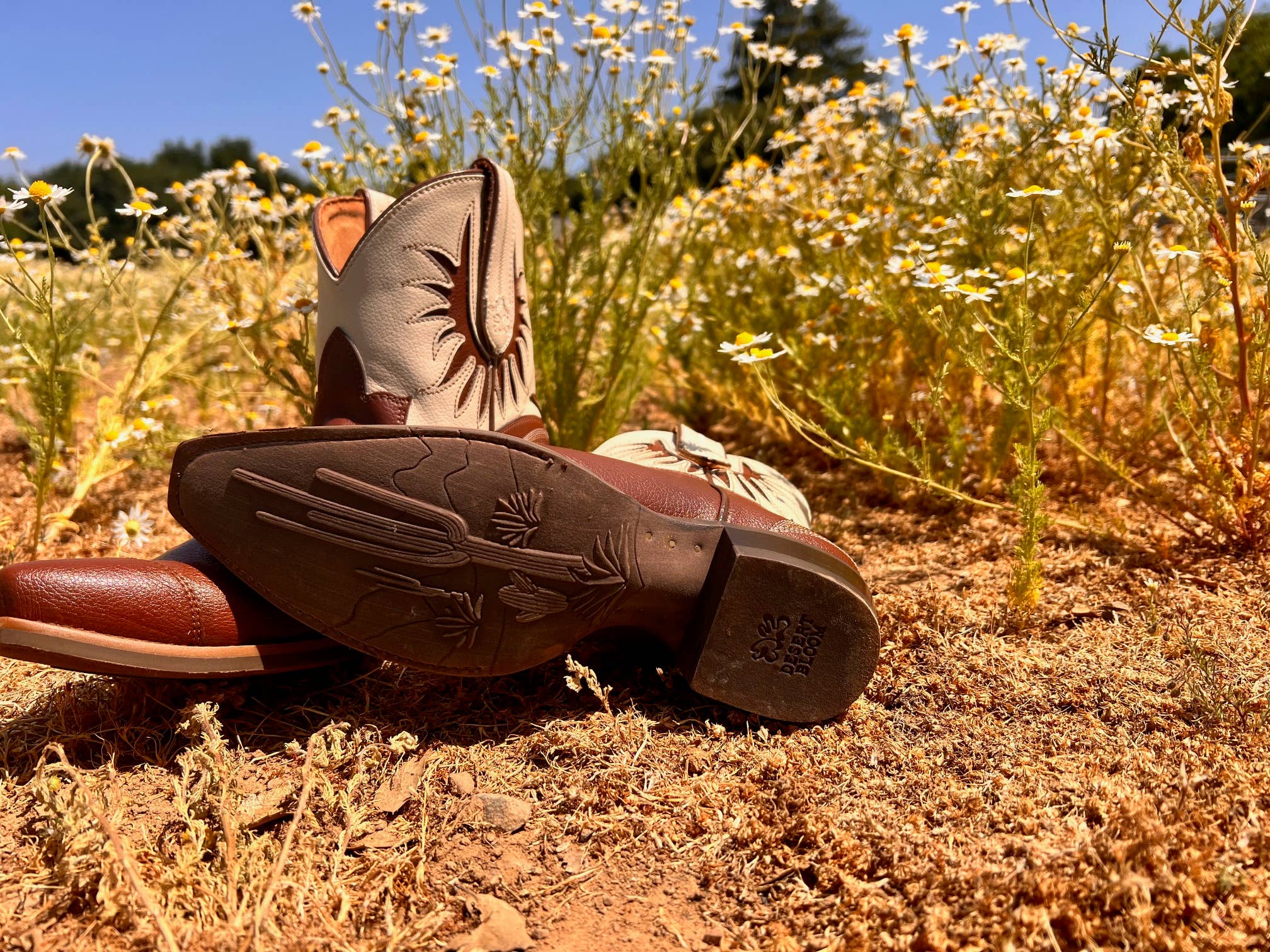 Prickly Pear Saddle Lace Brown Boots