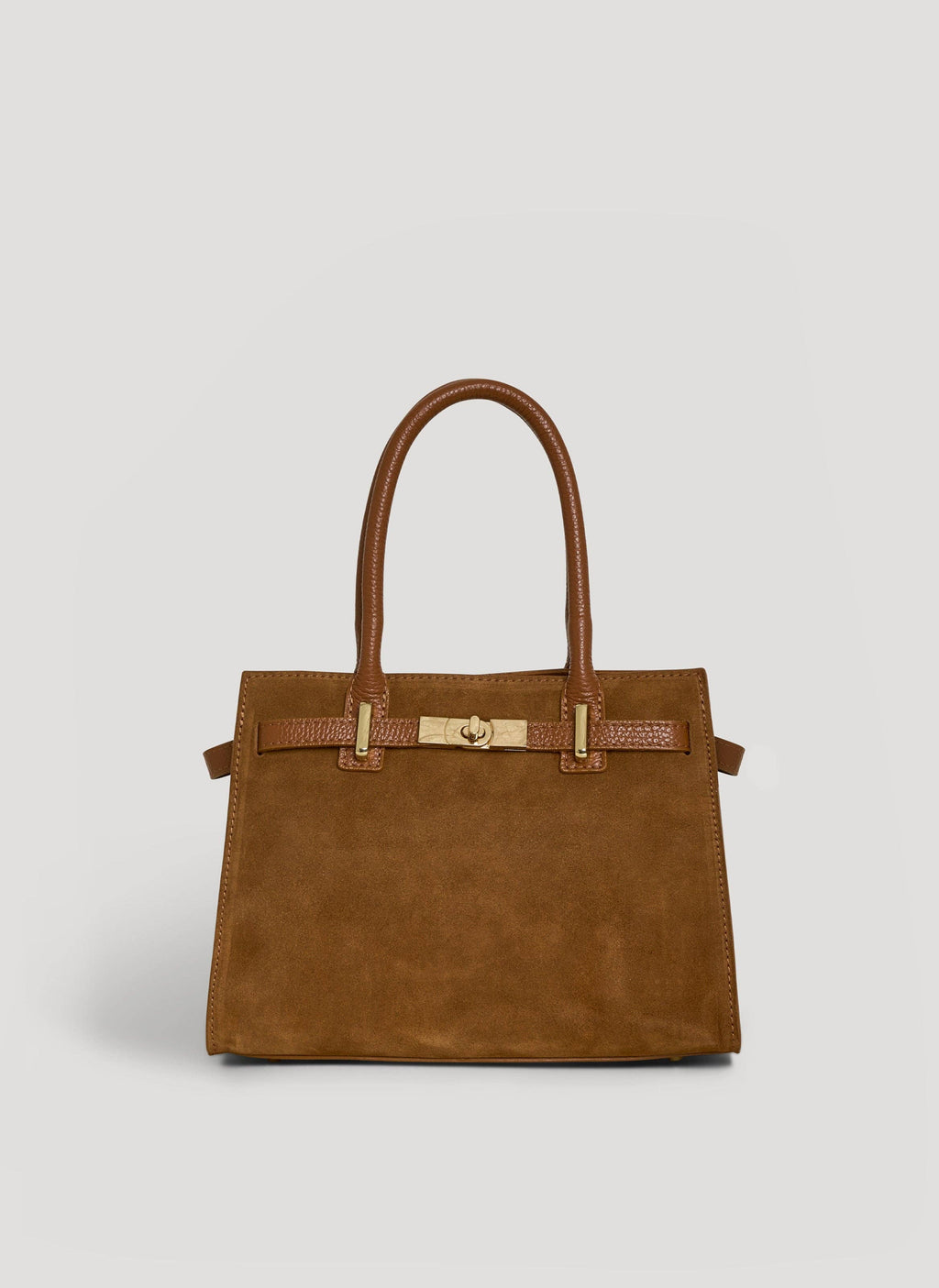Grace Bag in Tan Suede and Togo Leather
