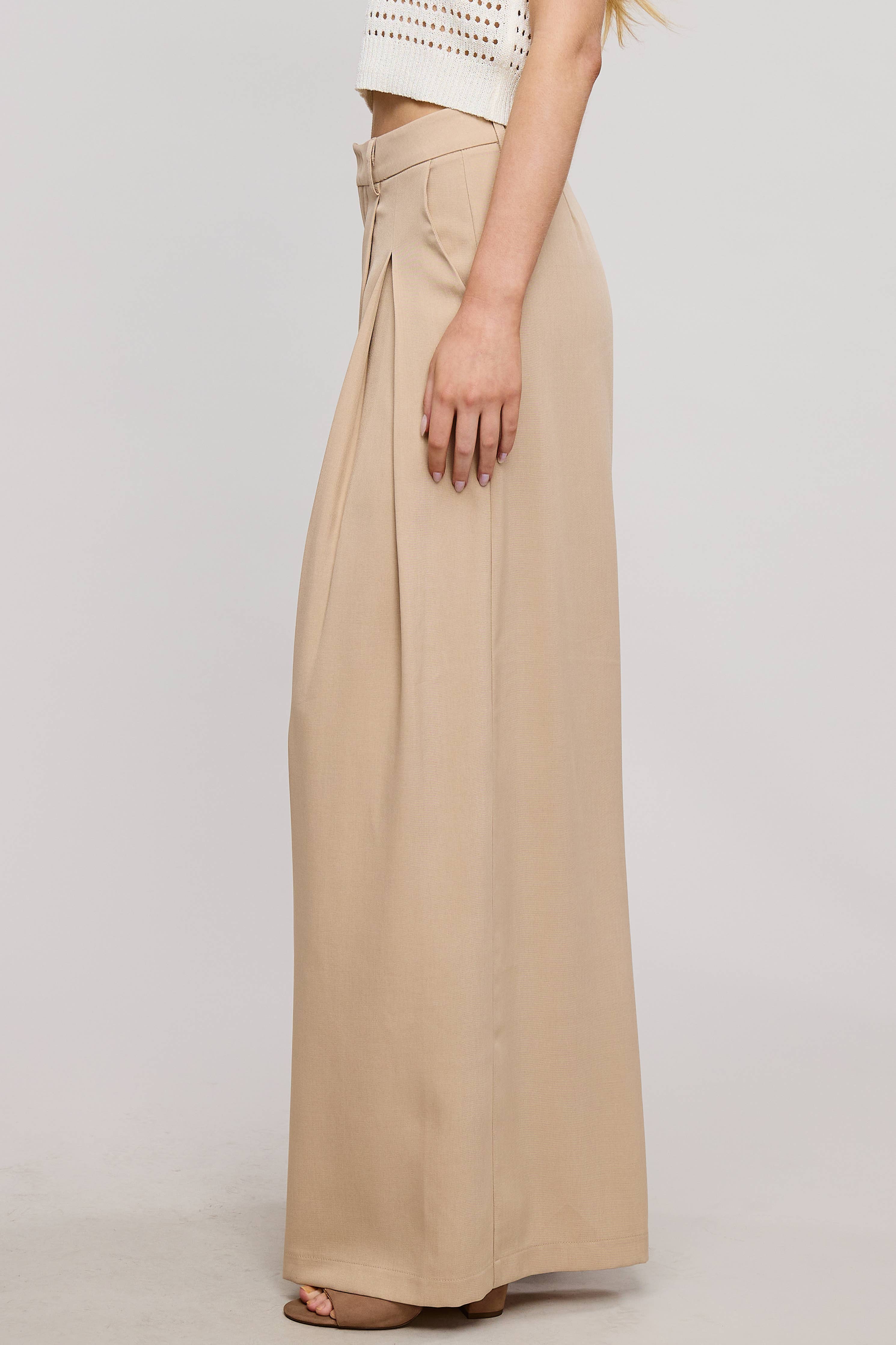 Trendy Low Waist  Wide Leg Pleated Trouser Pants