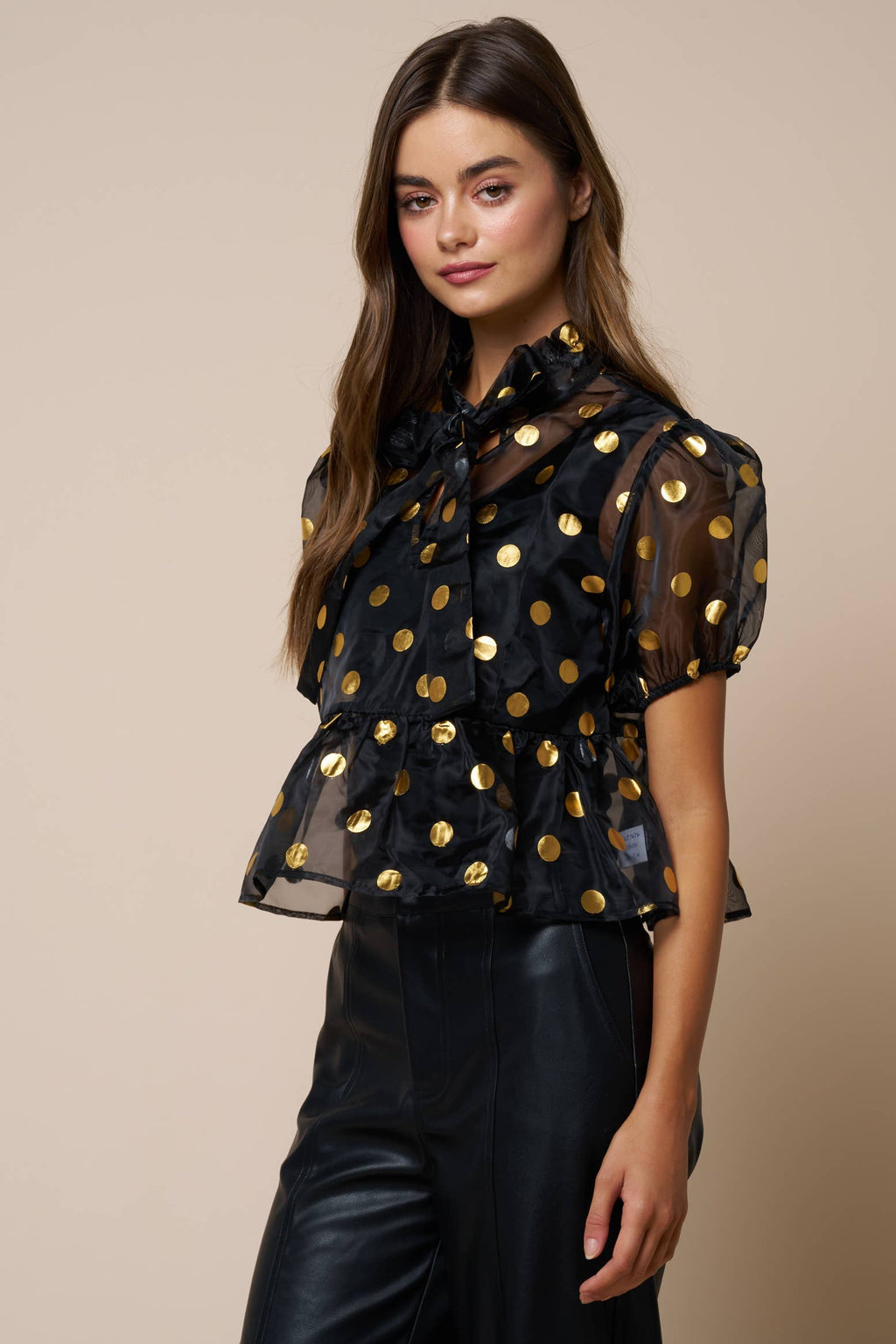 Sheer Polka Dot Blouse