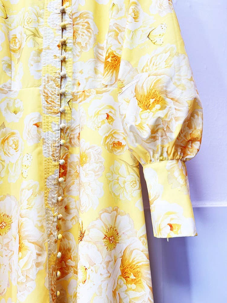Lantern Sleeve Belted Dress