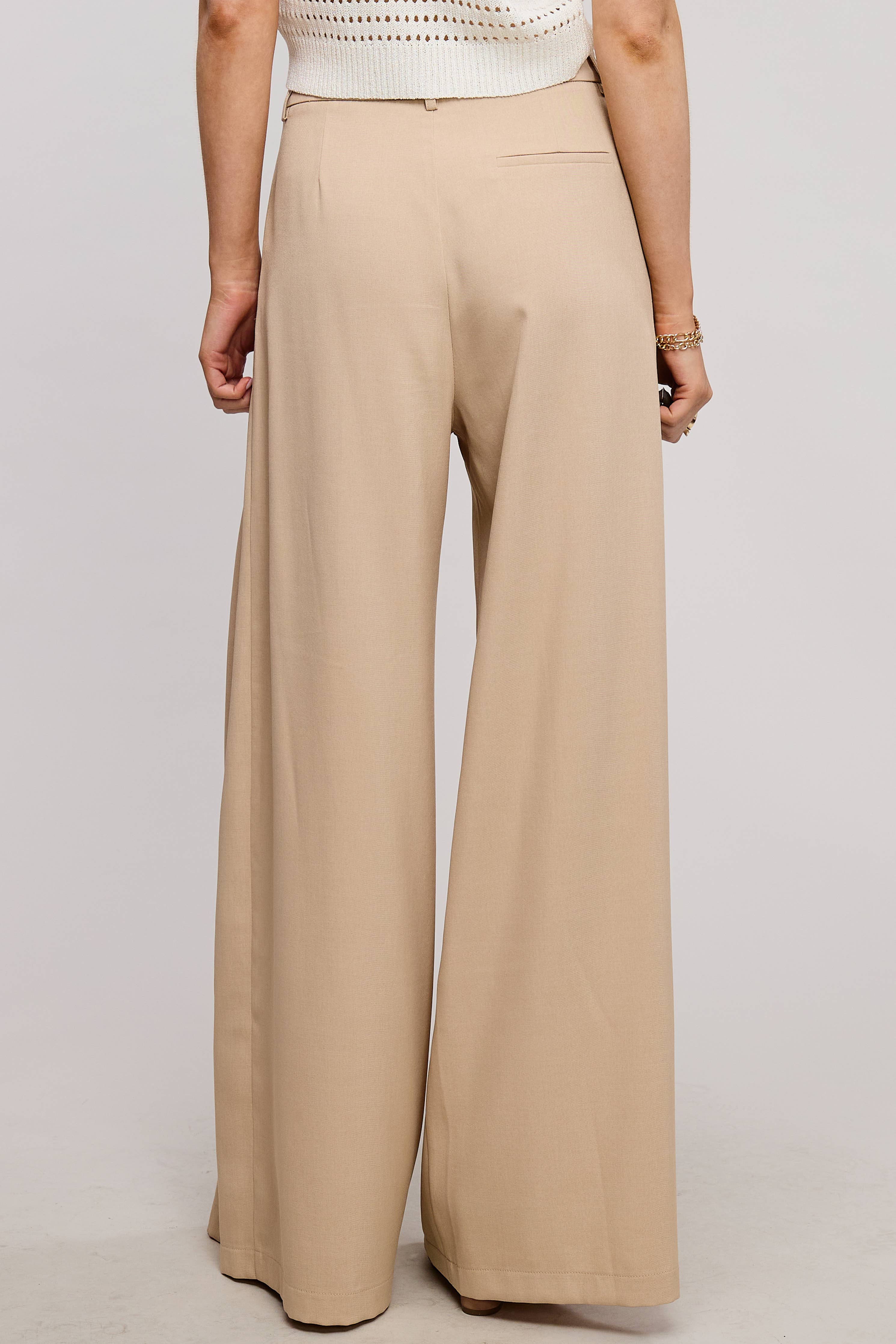 Trendy Low Waist  Wide Leg Pleated Trouser Pants