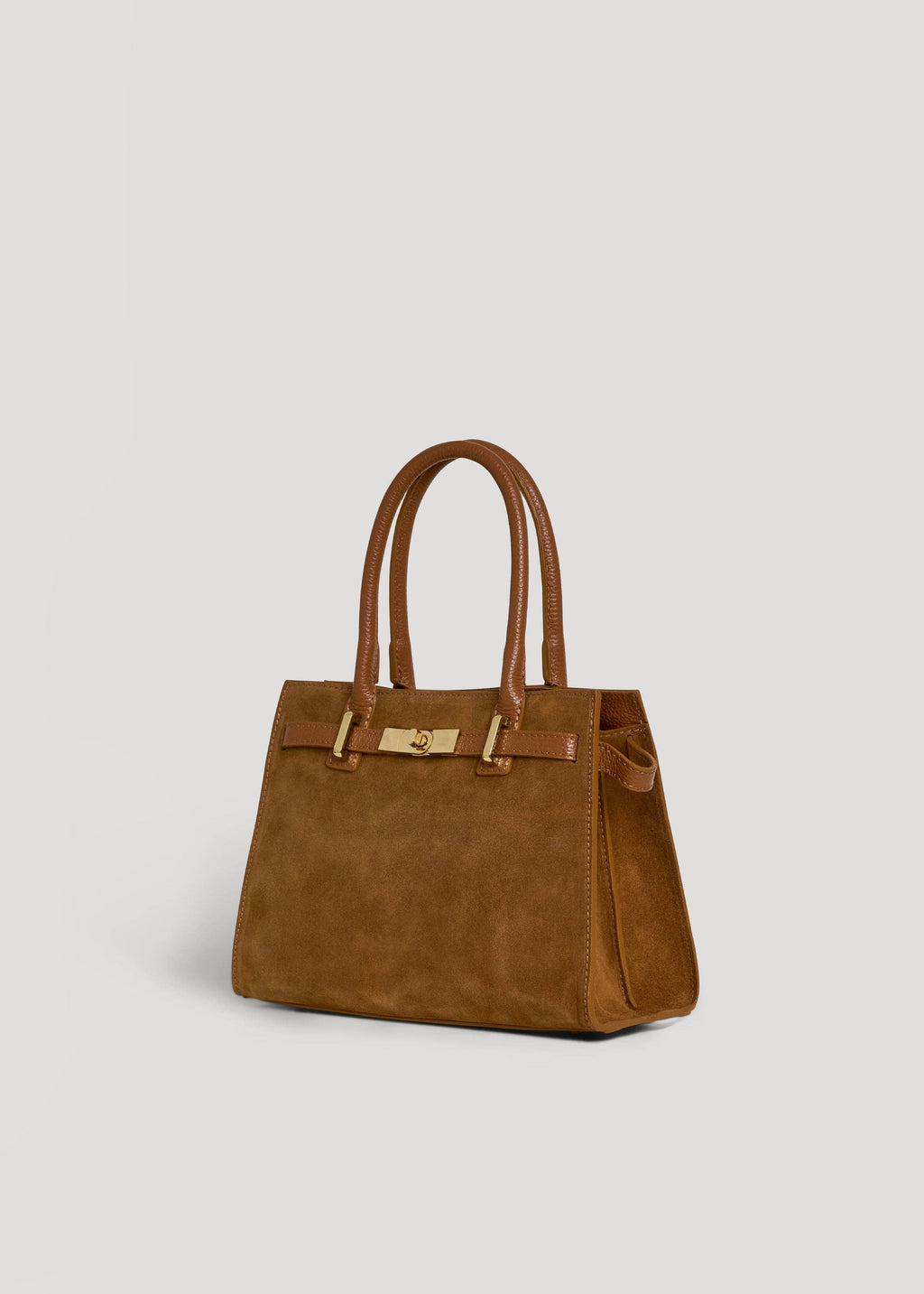 Grace Bag in Tan Suede and Togo Leather
